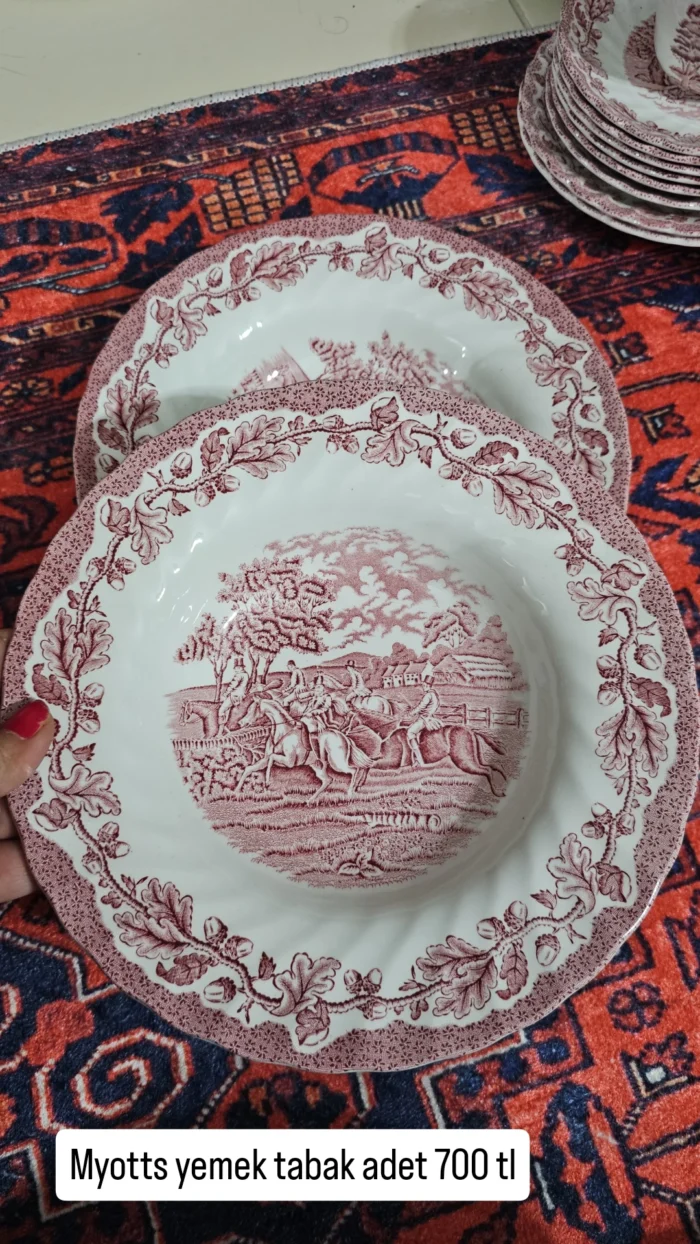 Myott Country Life Pembe 23 cm sulu yemek tabağı - Image 1