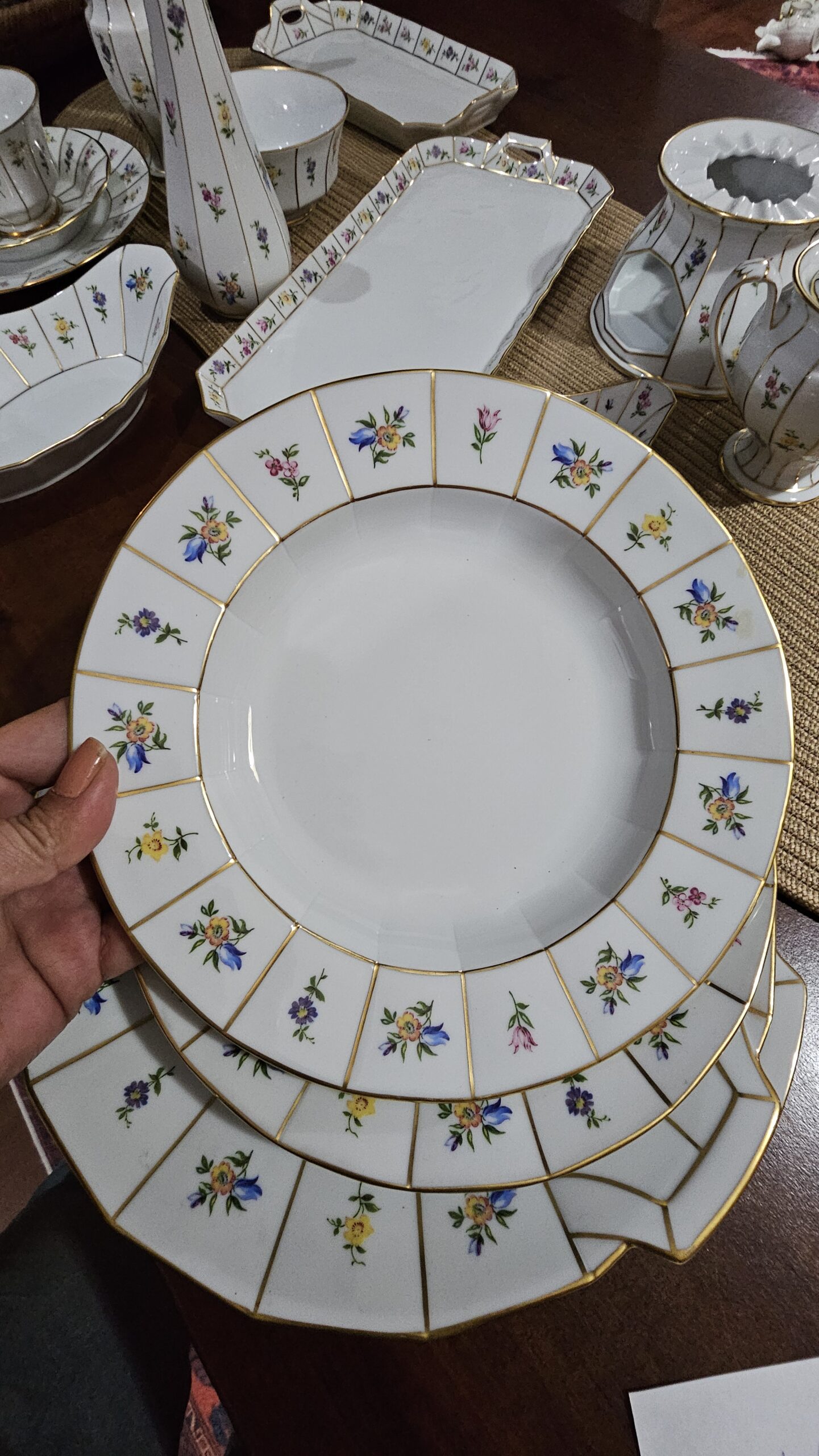 20251017_225103 Fürstenberg Mille Fleurs Grecque 22 cm sulu yemek tabağı - Image 1