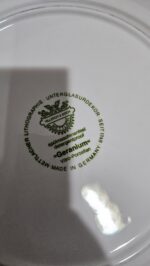 Villeroy Boch Geranium uzun Çay Fincanı - Image 2