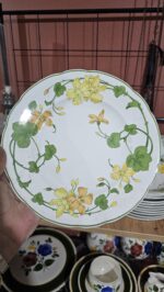 Villeroy Boch Geranium 20 cm pasta tabağı