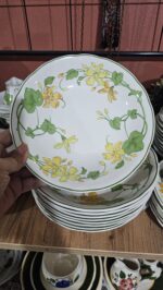 Villeroy Boch Geranium 22 cm sulu yemek tabağı